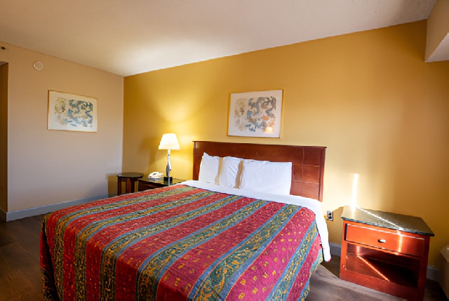 Budget-Friendly Guestrooms